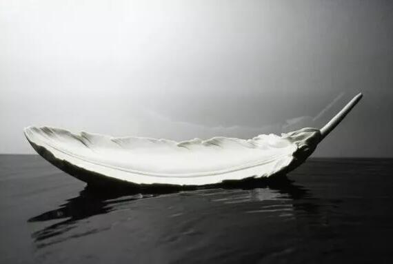 XϮԺʳʬF(xin)“Ї”̽(dng)Zµĵ»״ˇg(sh)