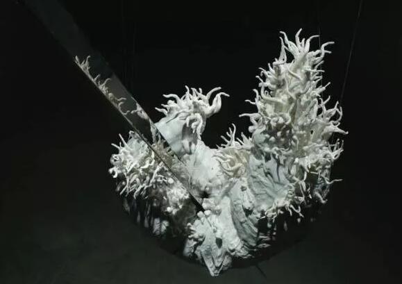 XϮԺʳʬF(xin)“Ї”̽(dng)Zµĵ»״ˇg(sh)