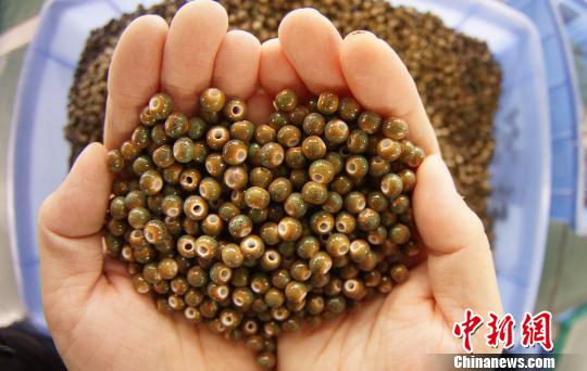 燒制出爐的瓷珠,硬度比傳統(tǒng)陶瓷高20%,耐磨抗摔,變形率極小。 王昊陽 攝